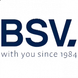 Chlorinator-Ersatzteile BSV